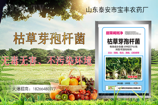 枯草芽孢桿菌能解決作物哪些問(wèn)題？枯草芽孢桿菌在農(nóng)作物上的應(yīng)用！