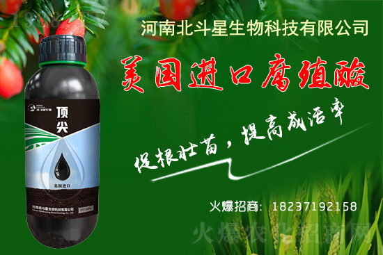 �ؗ͜l����������Nֲ��������������B(y��ng)�����o(h��)��