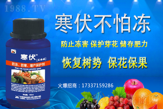 小麥凍害發(fā)生后該怎么辦？補(bǔ)救措施有哪些？小麥凍害和藥害如何區(qū)分？