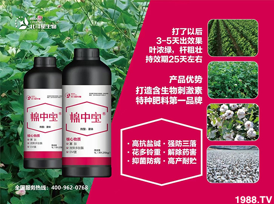 �طN�ʞ�ʲô�@ô������ʲô���c(di��n)֮̎��