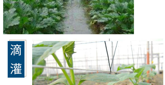 �B(y��ng)���ٸ����ЙC(j��)ˮ�ܷ���-һ���r(n��ng)�I(y��)_08