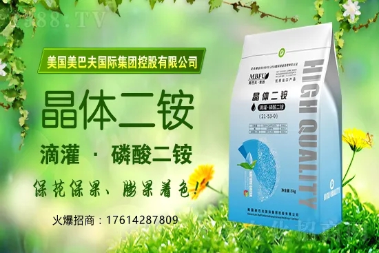 冬季茄果蔬菜蘸花如何避免藥害發(fā)生？蔬菜蘸花注意哪些問題？