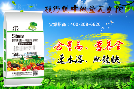 ���}�VԪ�ط����˽��������̎����Щ��