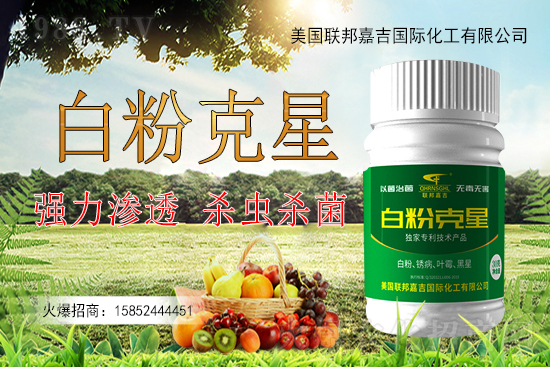 �����׷۲�����y�Է����������׷۲������ˎ����Ч������