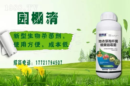 磷酸二氫鉀冬天用效果好嗎？磷酸二氫鉀如何提升植物抗寒能力的？