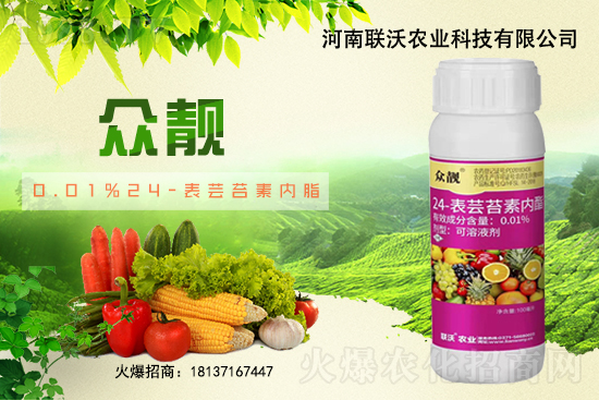 草莓膨果期著色期，如何快速膨果、均勻上色？