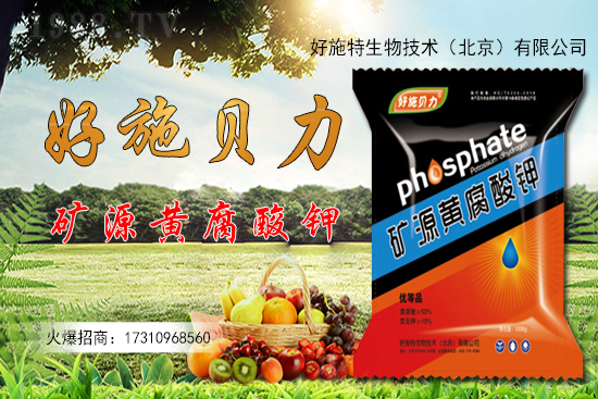 �󽪶����Xһ��󽪷Nֲǰ������������Nֲ���g��