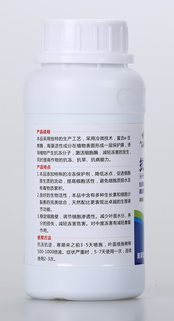 ����������-�W�R˹3