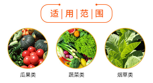 ΢�������-�����o�n-��������_05