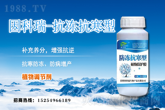 ���յ��ȃr(ji��)������Xһ����2020��12��9�յ��ȃr(ji��)������