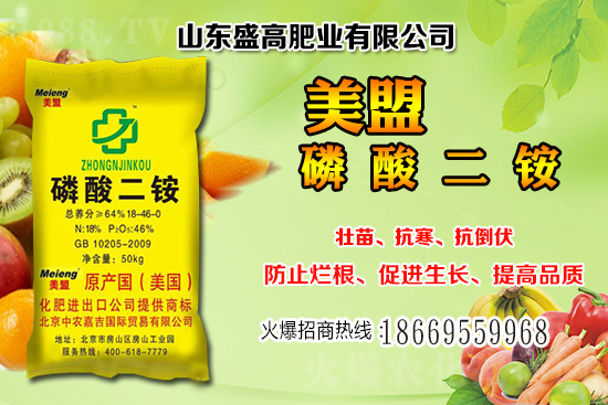 ����С���r��߀���^�m(x��)�ϝq����12��С���r���������