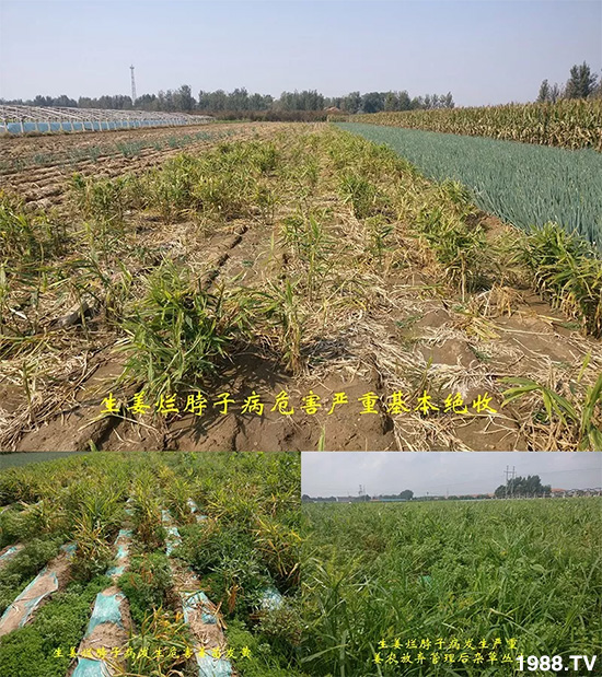     �l(f��)�������a(ch��n)Ʒ������أ�n������ʽ���ؠ����Ӳ����Ñ���������Ч�������ˣ�