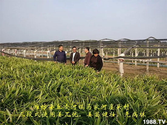     �l(f��)�������a(ch��n)Ʒ������أ�n������ʽ���ؠ����Ӳ����Ñ���������Ч����������