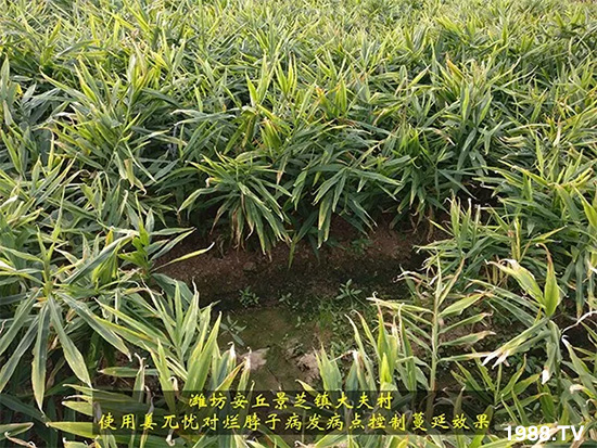     �l(f��)�������a(ch��n)Ʒ������أ�n������ʽ���ؠ����Ӳ����Ñ���������Ч�������ˣ�