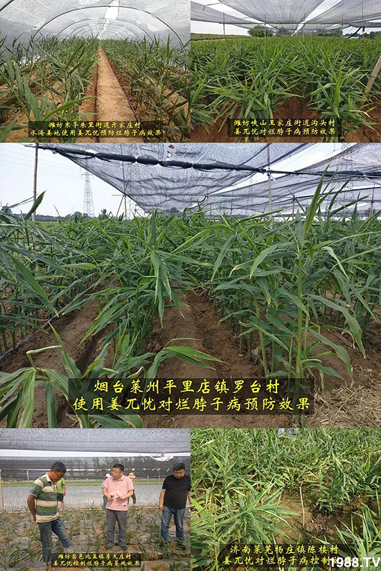     �l(f��)�������a(ch��n)Ʒ������أ�n������ʽ���ؠ����Ӳ����Ñ���������Ч����������