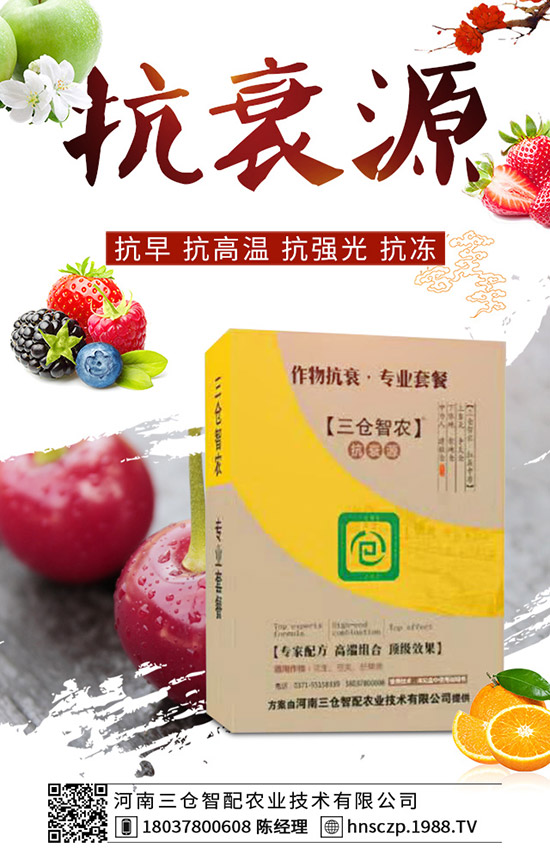 三月份適合種植什么蔬菜？三月份蔬菜種植注意事項(xiàng)！