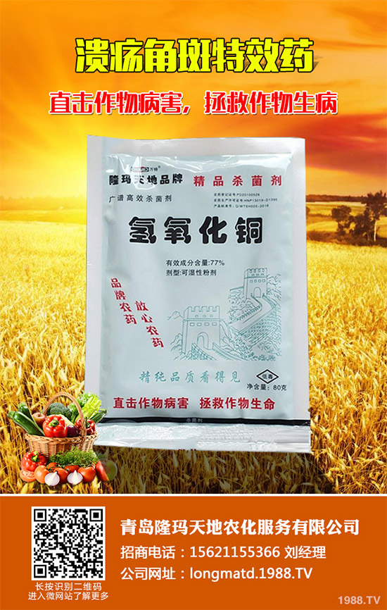 ���䚢�����r��