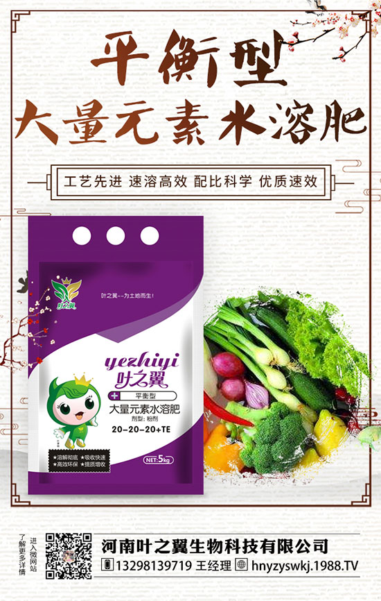 ĵ��ʲô�r���_����������Lĵ���_���r�g��