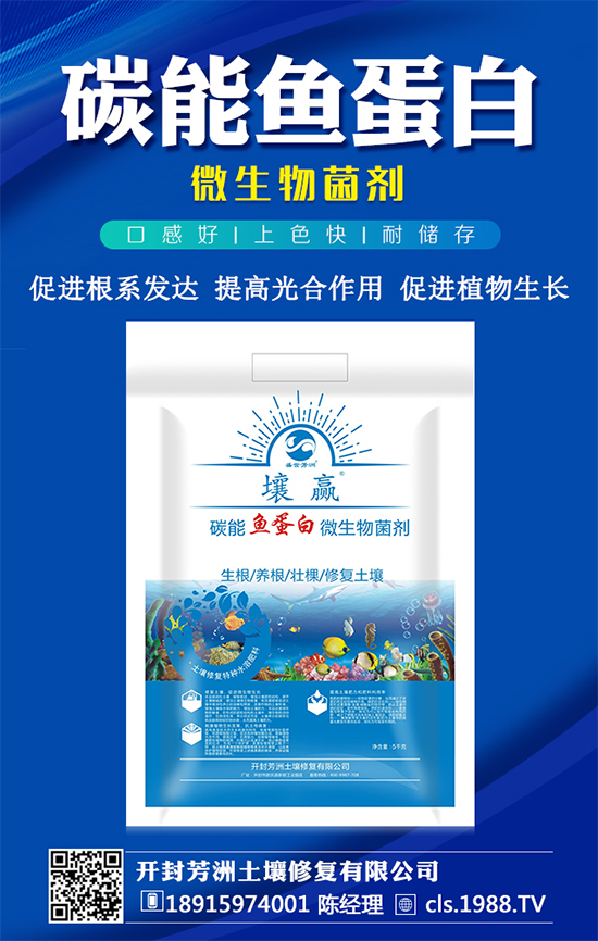 豆角種植時(shí)間，豆角生長(zhǎng)過程的管理要點(diǎn)！