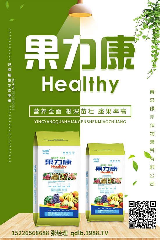 �����ĸ������g�Y���������ĸ����İl(f��)��Ҏ(gu��)�ɼ����Σ�