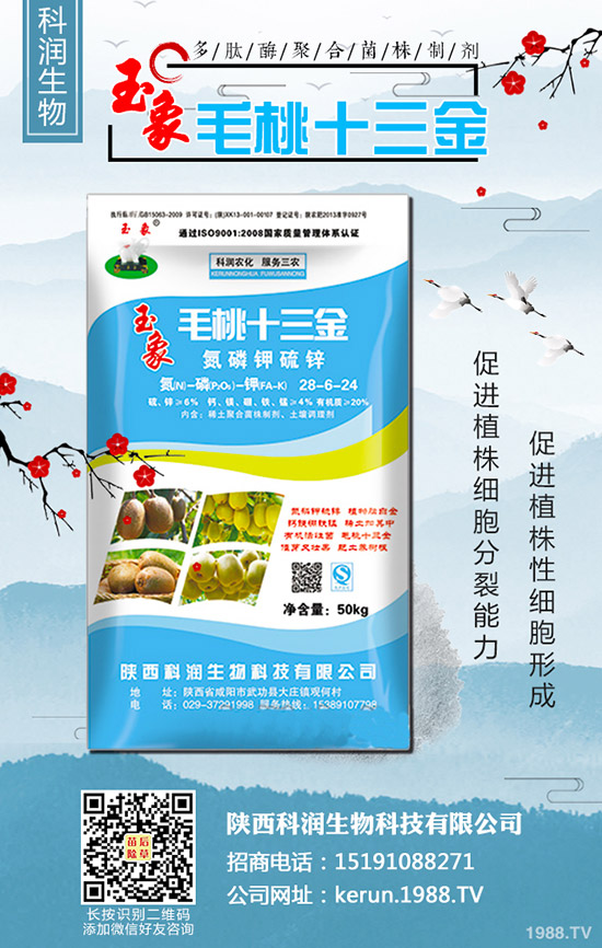     ���裺�����B�m(x��)�q�r�����L�U��᣿2020-3-13��������r��