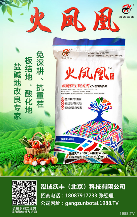 ��Ҋ(ji��n)����(sh��)���ɺ��x(ch��ng)����Щ������(sh��)���ɺ��x(ch��ng)���������