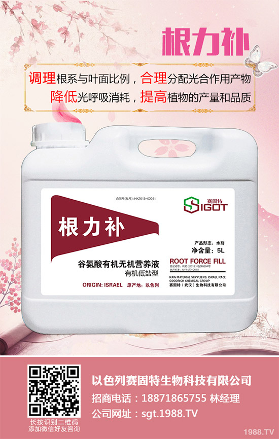 小麥春季常見的病害有哪些？該如何防治？春季小麥病害防治方法介紹