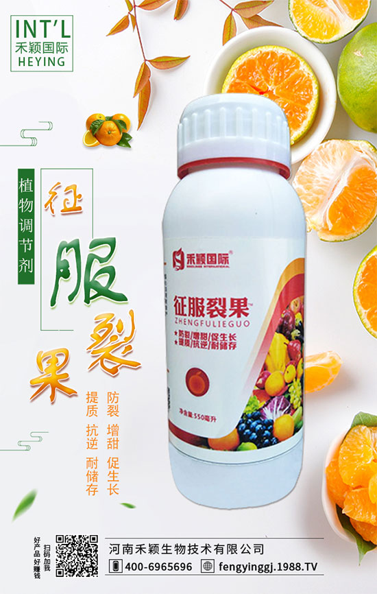 ����ʲô�r�g�m���ԷN�����ٷ�ˮ��������Щ��