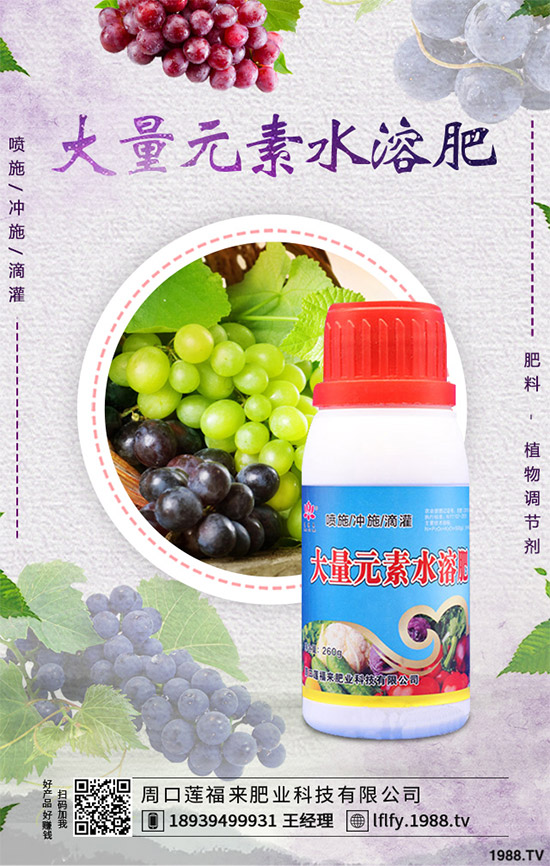 蠶豆該怎么種？蠶豆的種植技術(shù)及病害防治要點