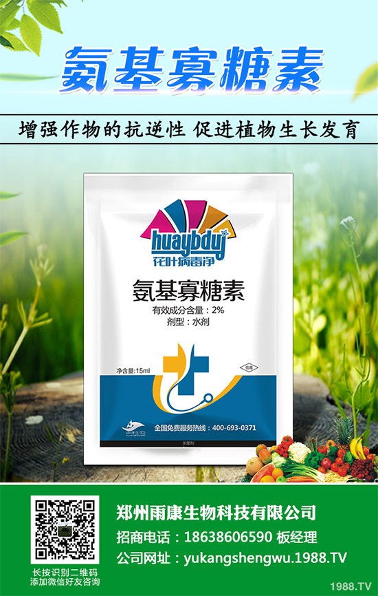 蠶豆該怎么種？蠶豆的種植技術(shù)及病害防治要點