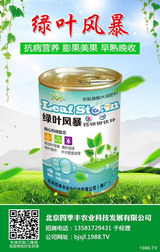 �����׷۲�����y�����������׷۲��l(f��)��ԭ�򼰷��Σ�