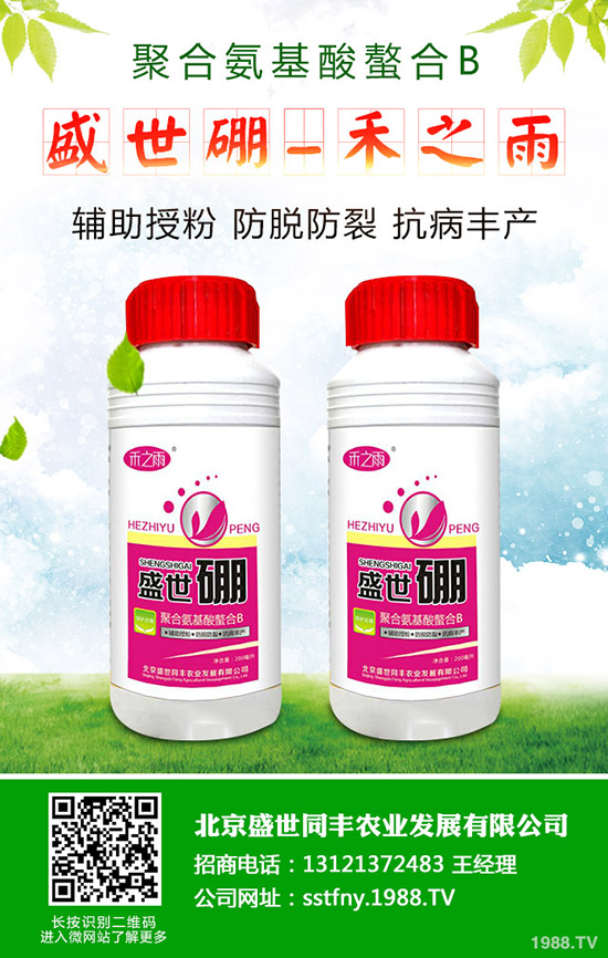 如何促進(jìn)西瓜種子發(fā)芽？西瓜種子發(fā)芽要注意哪些問(wèn)題