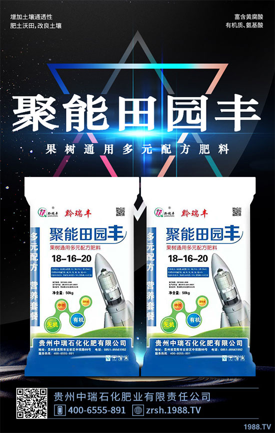     雷丸又稱竹鈴芝、雷實(shí)、竹苓、竹兜菌，是一種常用的藥用菌，與茯苓、豬苓并列為“三苓”。具有殺蟲消積的功效，常用于絳蟲、鉤蟲、蛔蟲、蟲積、小兒疳積等病癥。現(xiàn)今市場(chǎng)雷丸供藥多以野生為主，而人工目前少有栽培；雷丸種植對(duì)環(huán)境要求比較苛刻，喜溫暖氣候地區(qū)，以林中潮濕潤(rùn)地為宜，但田間管理簡(jiǎn)易，只需注意溫度和干旱就行。那么，雷丸該怎么種？雷丸的種植方法及田間管理要點(diǎn)有哪些呢？