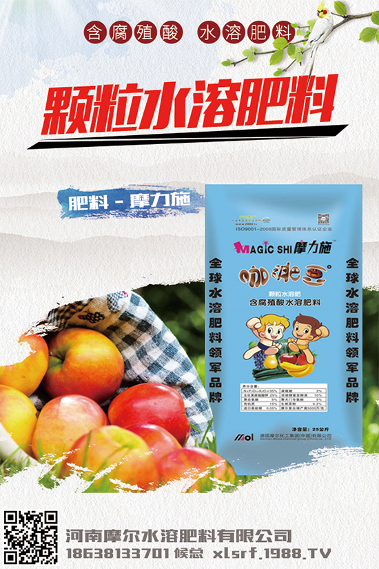 種植白術(shù)掙錢嗎？2020白術(shù)種植前景及效益分析