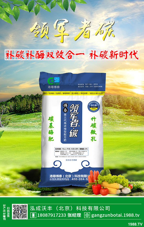 家中該如何養(yǎng)殖馬蹄蓮？養(yǎng)殖方法要點，花友必看！