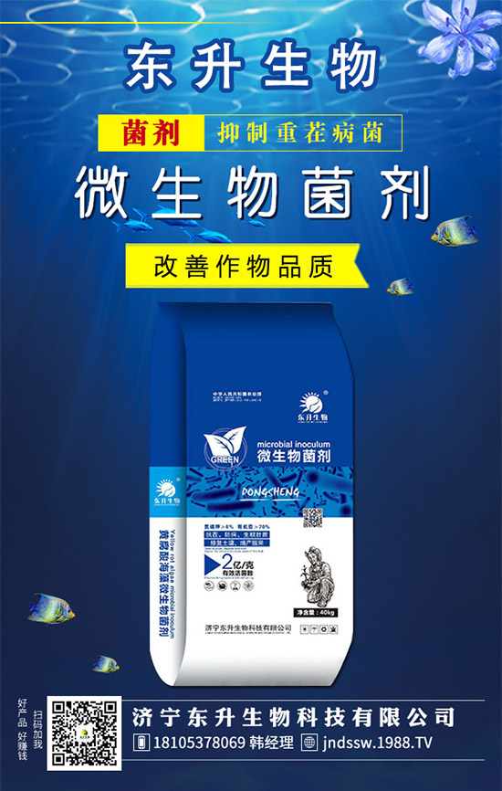 韭菜品種有哪些？韭菜的養(yǎng)殖注意事項！