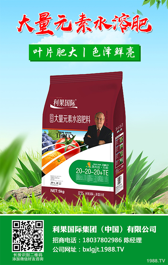 金銀花種植前景如何？2020金銀花的種植前景及效益分析