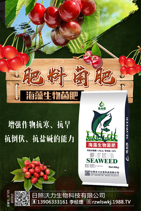 馬蹄市場(chǎng)前景怎么樣？馬蹄種植方法要點(diǎn)有哪些呢？