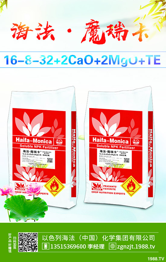     ���أ��r��ֹ?ji��)q���䣬�Ј�С����ʎ��2020-3-21�������س��S��r��