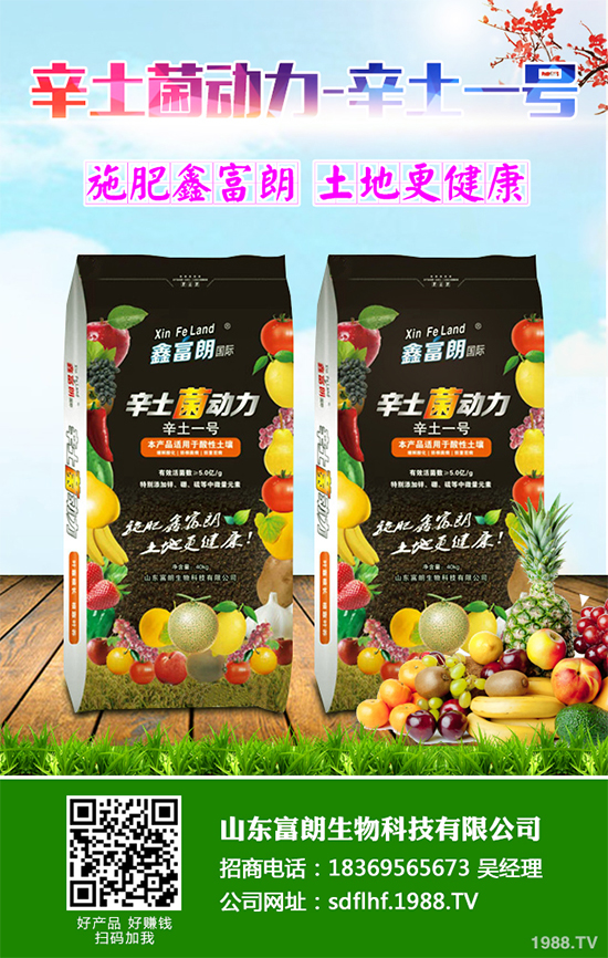 你知道春花生什么時(shí)候播種嗎？2020年春花生種植方法講解