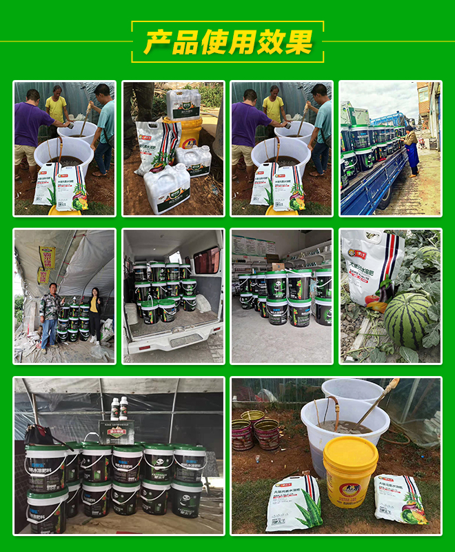 �Ԡ� Ч���D