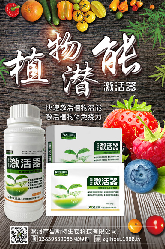 ������ô�N�ɻ��ʸ�������ʲô�r(sh��)��Nֲ������