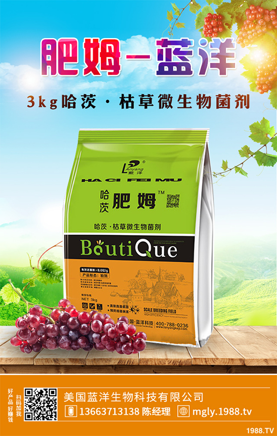 花椒樹(shù)該如何種植？三步幫你輕松種出高產(chǎn)花椒！