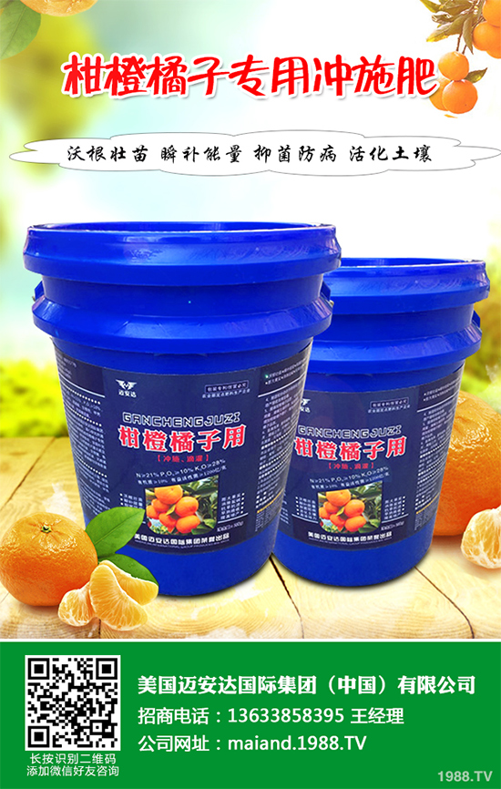 花椒樹(shù)該如何種植？三步幫你輕松種出高產(chǎn)花椒！