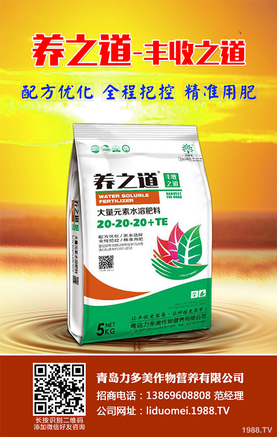 ���{��ԓ��ηNֲ�����{���߮a(ch��n)�Nֲ���g(sh��)Ҫ�c