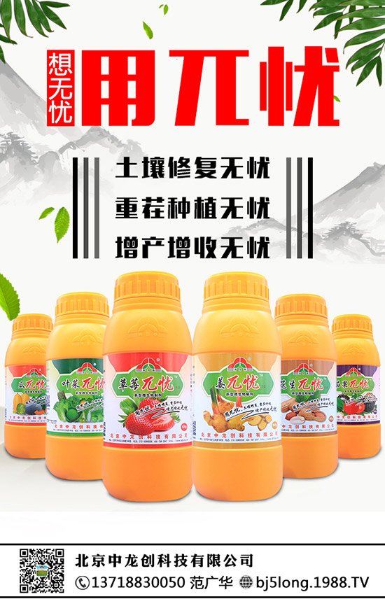 草莓為什么會發(fā)生肥害,草莓肥害要怎么補(bǔ)救?