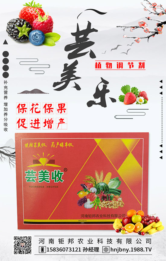 �����׽�����ʲôΣ���������׽����ķ��δ�ʩ��