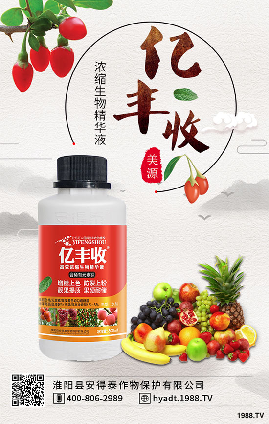 ���Ҙ����zʲô�Y����Ҙ����z��ô������