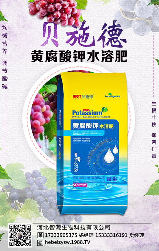 芹菜的營養(yǎng)價(jià)值有哪些？常吃芹菜有什么好處？