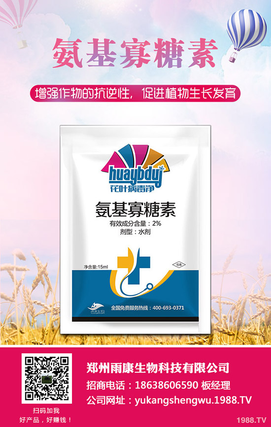 番茄發(fā)生肥害怎么辦？番茄肥害怎么快速恢復？